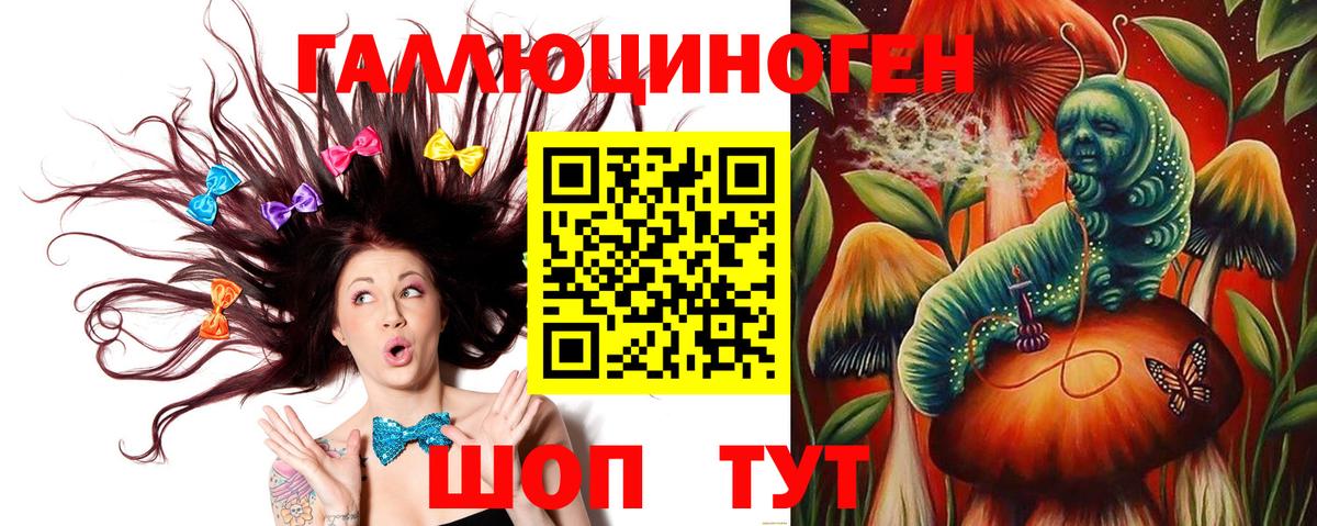 Михайловск  Псилоцибиновые грибы MAGIC MUSHROOMS  Вход с VPN 